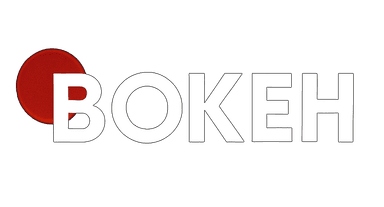 Bokeh Logo