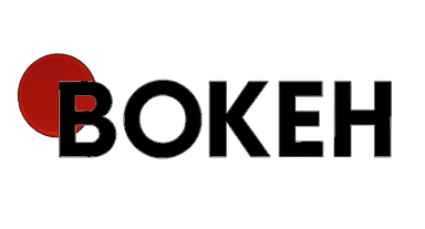 Bokeh Logo